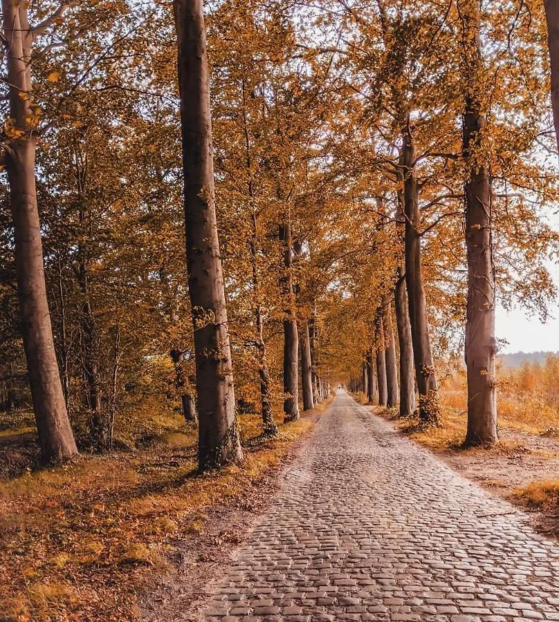 Ryckevelde Homestay Brügge